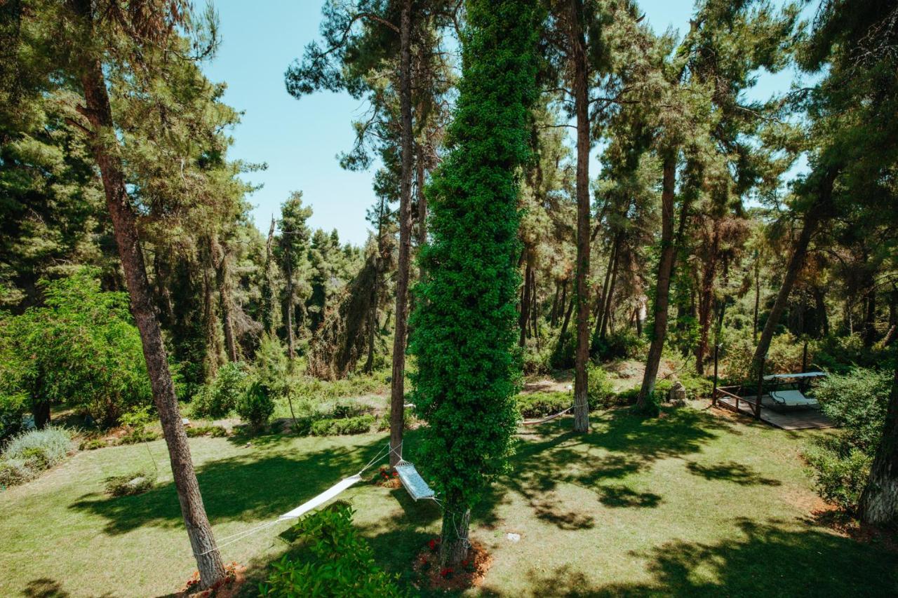 Beautiful Summerhouse In Sani'S Pine Forest Sani  Luaran gambar