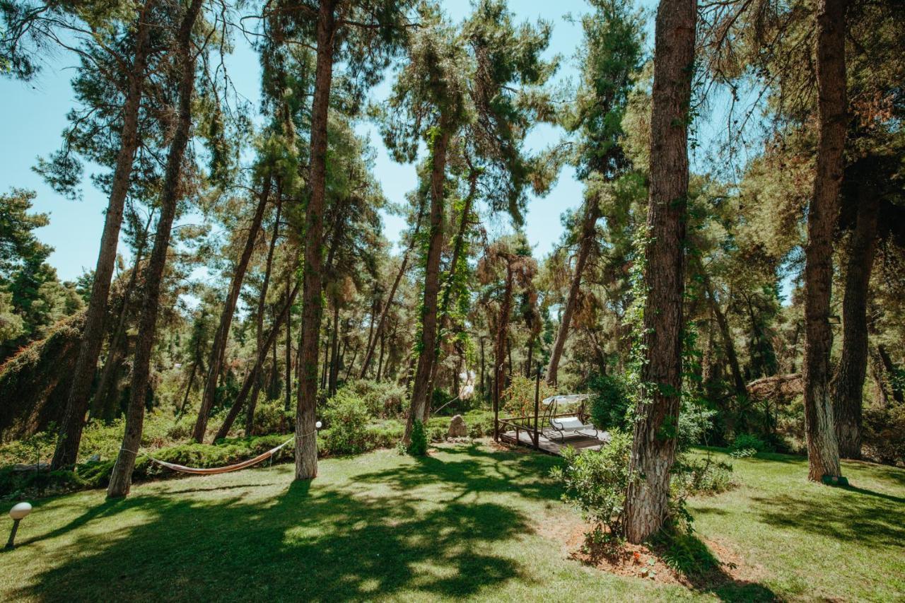 Beautiful Summerhouse In Sani'S Pine Forest Sani  Luaran gambar
