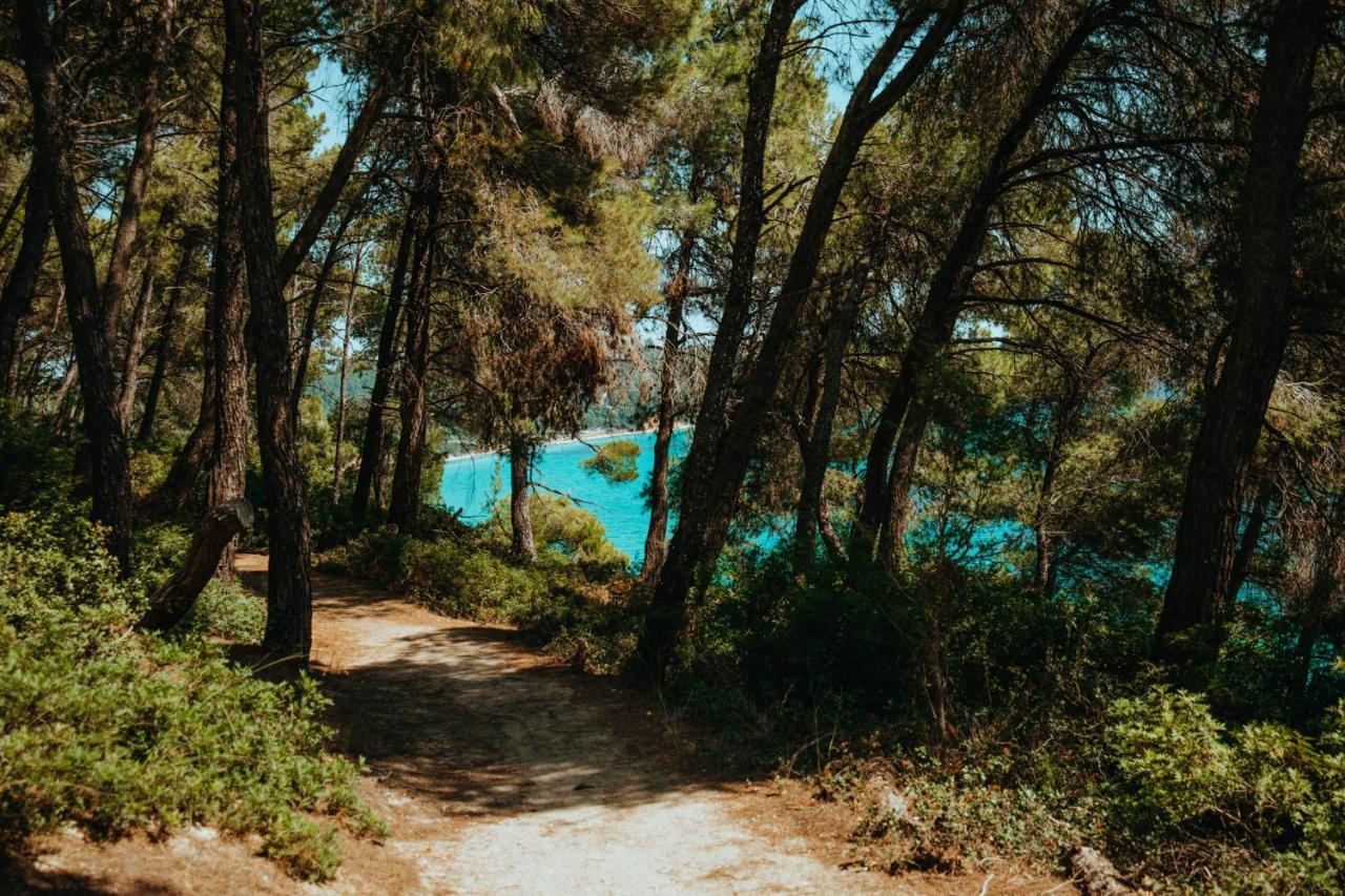 Beautiful Summerhouse In Sani'S Pine Forest Sani  Luaran gambar