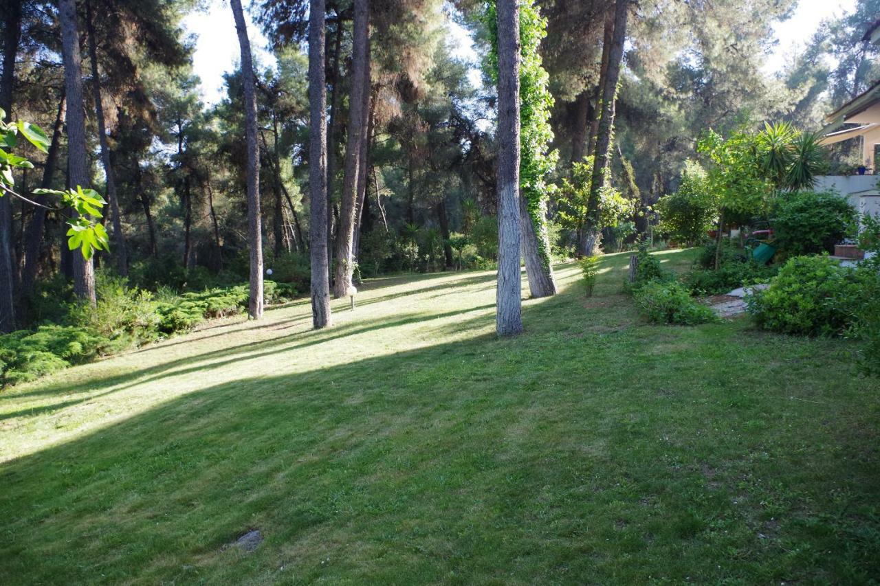 Beautiful Summerhouse In Sani'S Pine Forest Sani  Luaran gambar