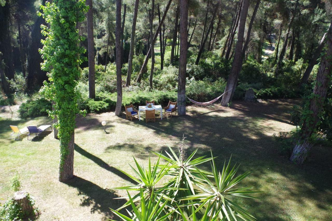 Beautiful Summerhouse In Sani'S Pine Forest Sani  Luaran gambar