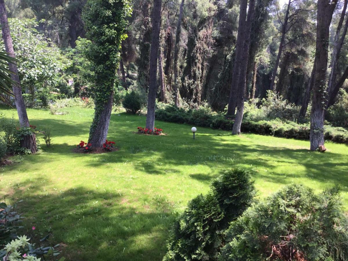 Beautiful Summerhouse In Sani'S Pine Forest Sani  Luaran gambar